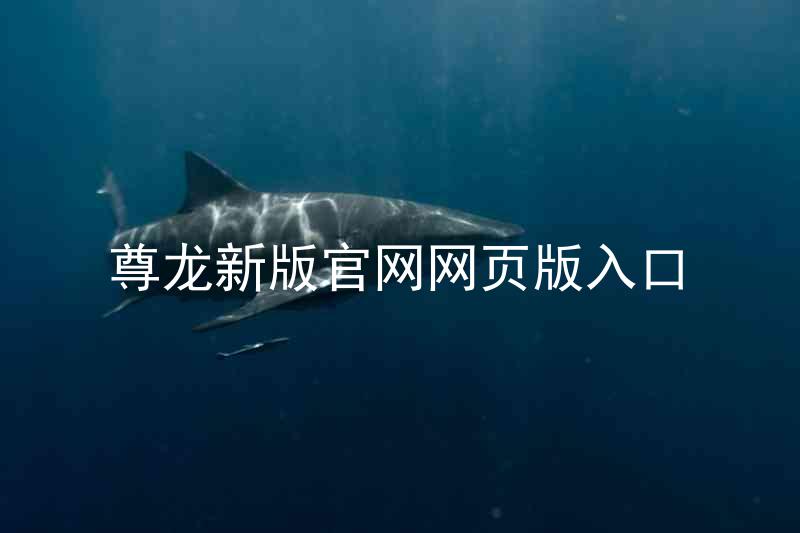 尊龙新版官网网页版入口