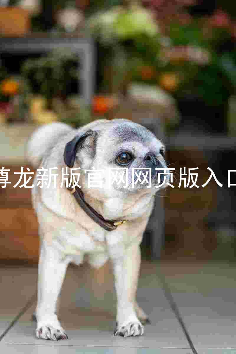 尊龙新版官网网页版入口