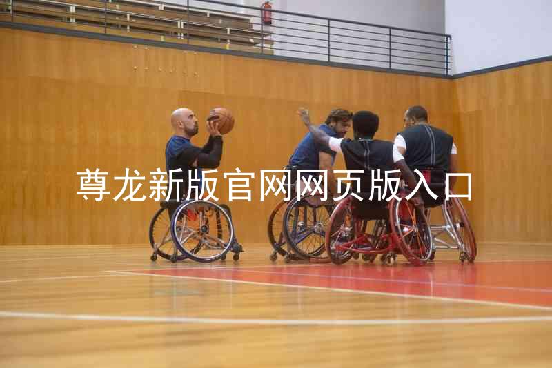 尊龙新版官网网页版入口
